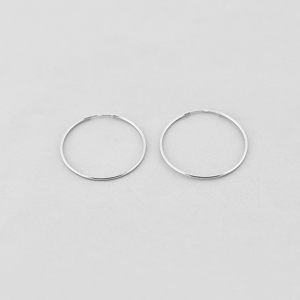 

Серебряные серьги Minimal 4739