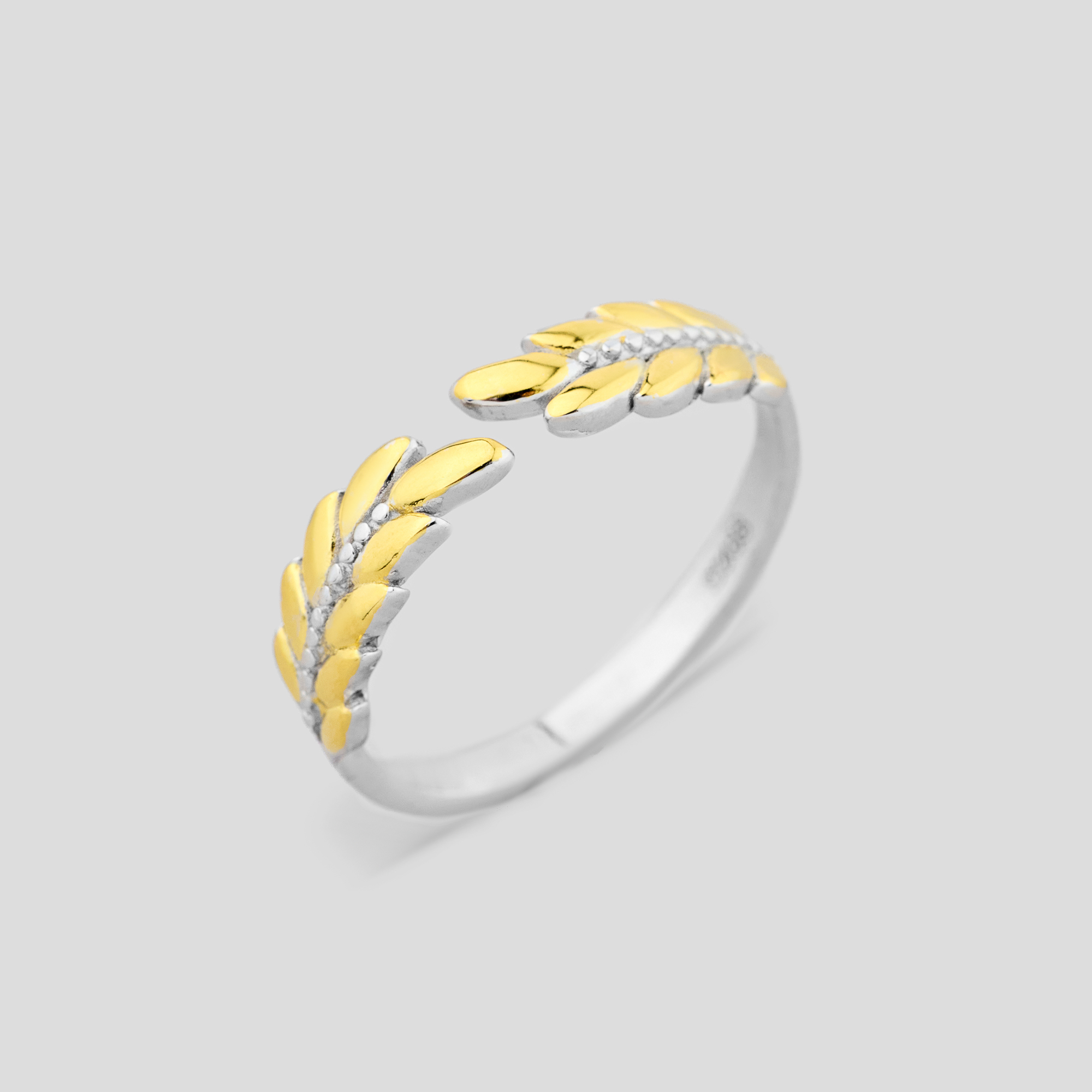 

Кольцо Святые реликвии