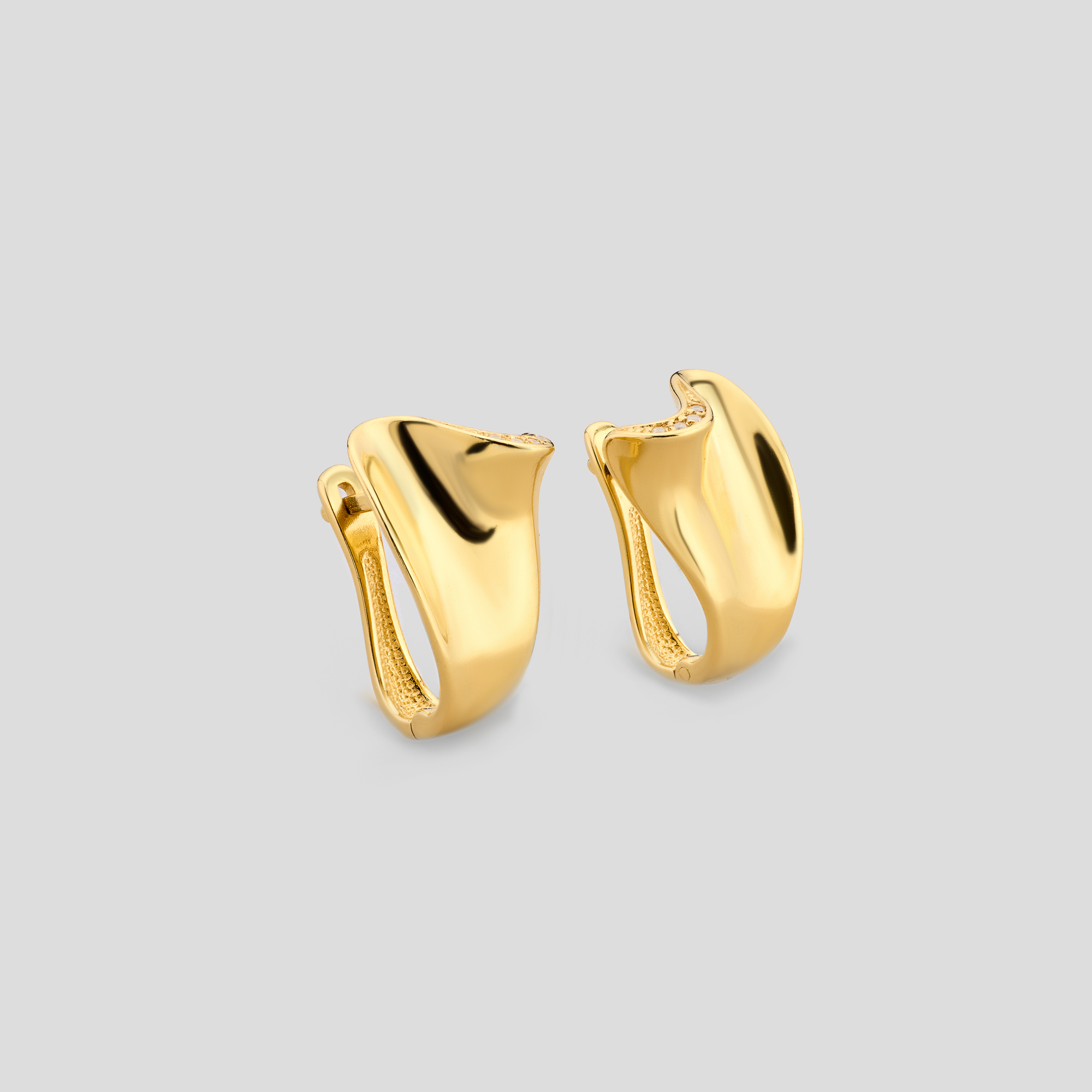 

Серьги Изысканное движение