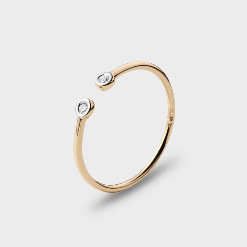 Каблучка Полярність